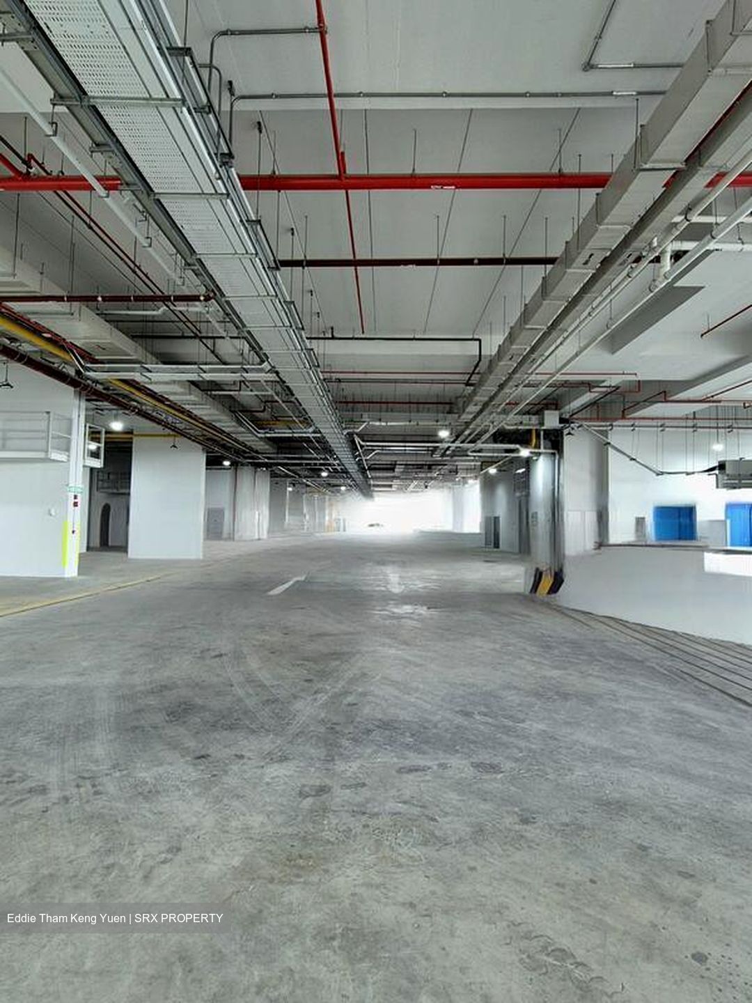 Ct Foodnex (D25), Factory #475286631